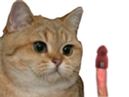:chat_bite: