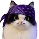 :chatdelastreet2: