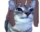 :cs2_menhera_stbenzo: