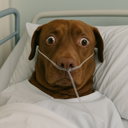 :teddihopital: