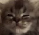 :Chatlune: