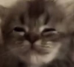 :Chatlune: