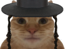 :chatrabbin: