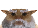 :ChatSage: