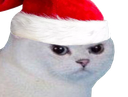 :noel_vener: