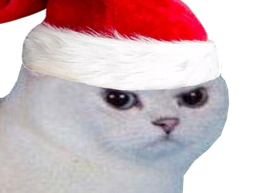 :noel_vener: