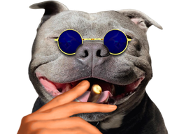 :pitbull_redpill: