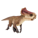 :Microceratus: