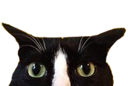 :chat_suspicieux: