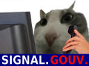 :Pouet_signal_gouv: