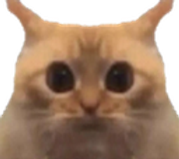 :Chatlimitemiroir: