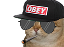 :sodium_swag: