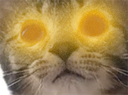 :Plume7: