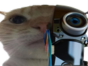:cyborgchak: