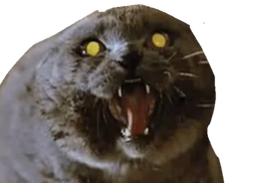 :Chat_vnr: