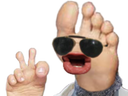 :agneu_pied: