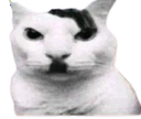 :hitler_chat: