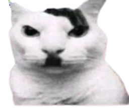 :hitler_chat: