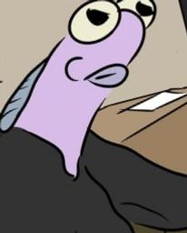 :Volutes_belge_:
