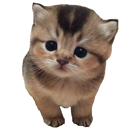 Patatiti