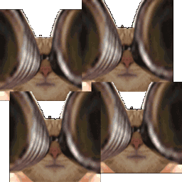:chat_lunettes_glitch: