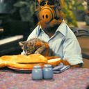 Alf