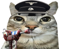 :CS_BO1_Raygun: