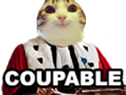 :marrant_juge: