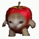 :Chat_pomme: