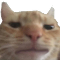 :chat_consterne: