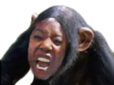 :NoirSingeFolle: