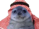 :phoquealsaoud: