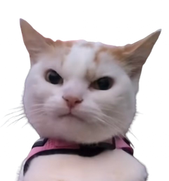 :Chat_Keke:
