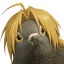 :Edward_gros_pigeon: