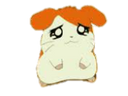 :hamtaro: