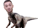 :raptorIRL: