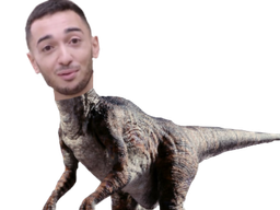 :raptorIRL: