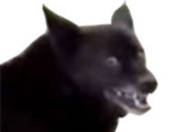 :niknak: