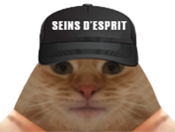 :chatcasquetteseinsesprit: