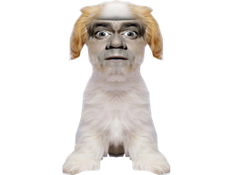 :Chien_Bourdon_Symetrie: