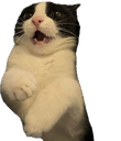 :sonchat: