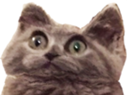:Chockedcat: