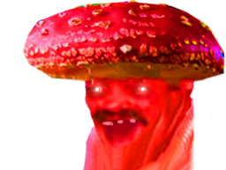 :cash_amanite: