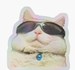 :chaaya: