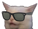 :jaunelunette: