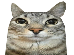 :CS_Original: