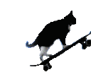 :3d_chat_skateboard: