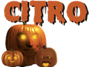 :halloween_banniere2: