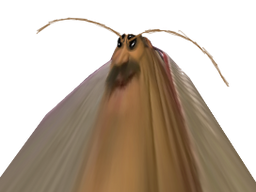 :risicafard: