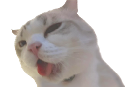 :chatcum: